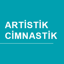 ARTİSTİK CİMNASTİK