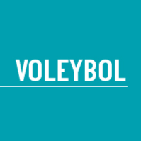 VOLEYBOL